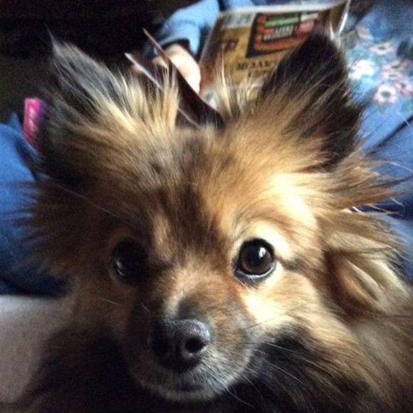 Meet your Posher, Mary elizabeth - Picture 1 of 1